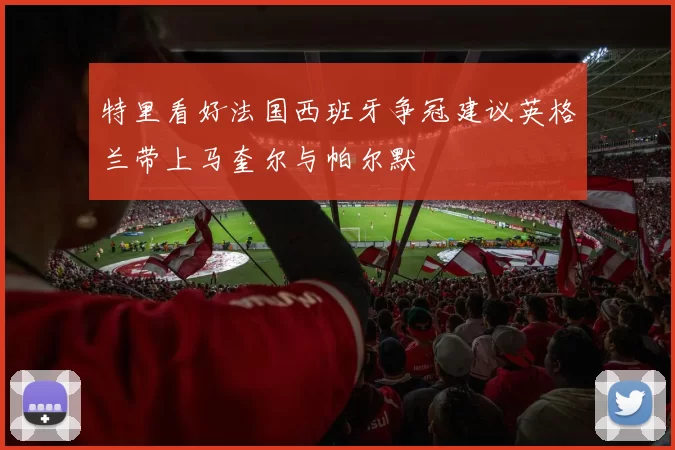 特里看好法国西班牙争冠建议英格兰带上马奎尔与帕尔默