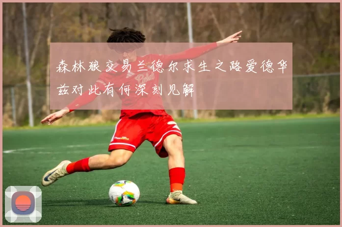 森林狼交易兰德尔求生之路爱德华兹对此有何深刻见解